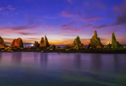 树莓阅读 不可多得的阅读软件-TVBox应用站