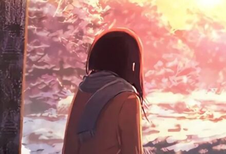 在线工具 高效率万能网站-TVBox应用站