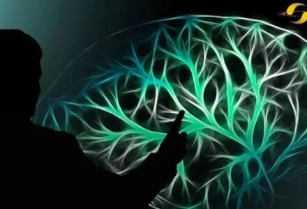 死前真的会有「跑马灯」，人类首次同步测量大脑濒死状态-TVBox应用站