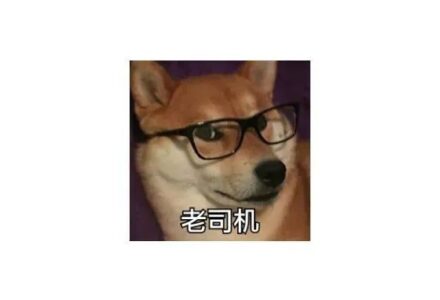 驾考宝典，解锁高级功能！老司机们的春天来了！-TVBox应用站