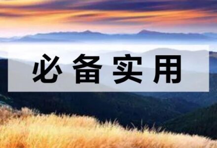 PDF格式转换工具,功能超强,免安装-TVBox应用站